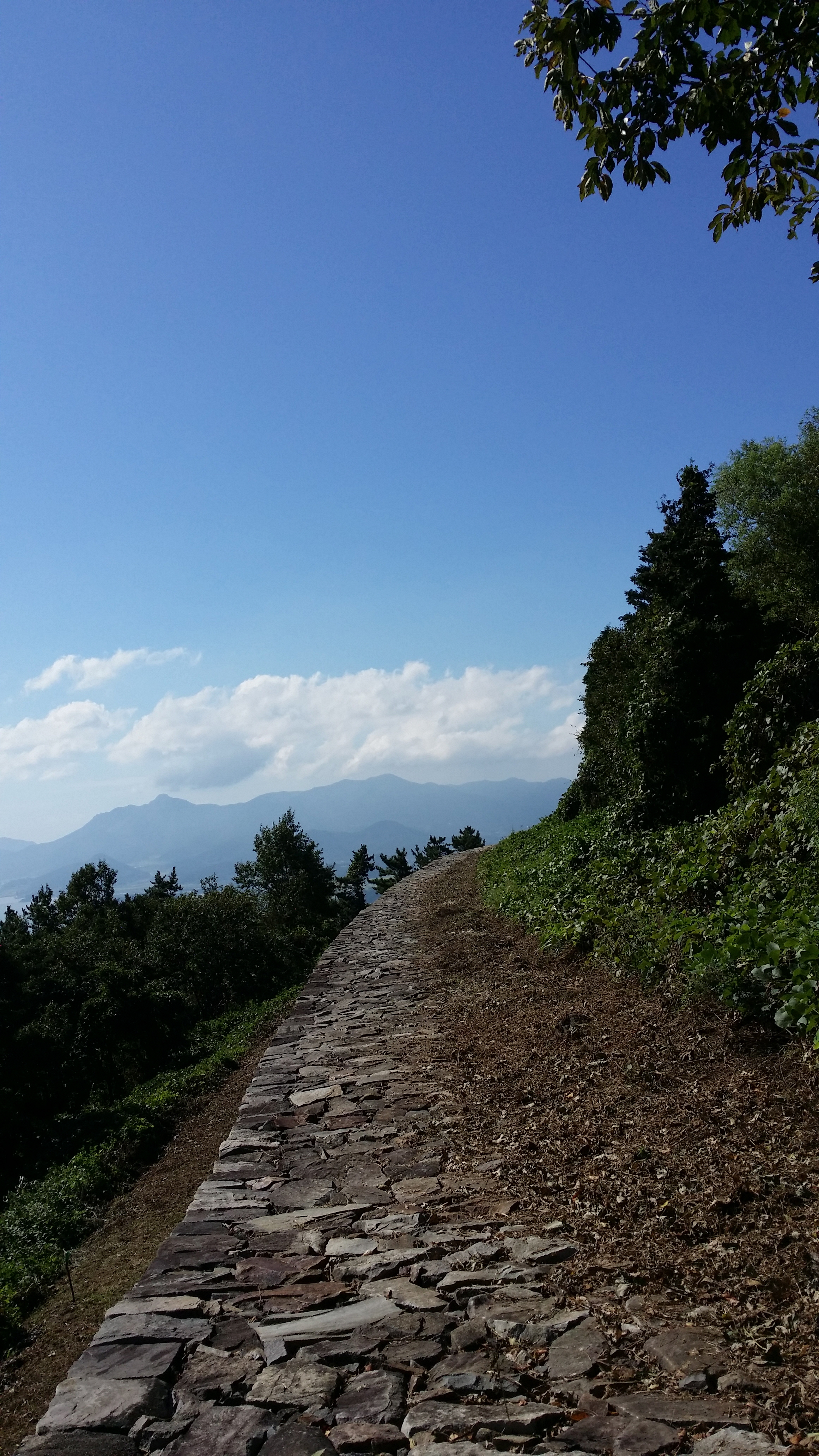 대국산성